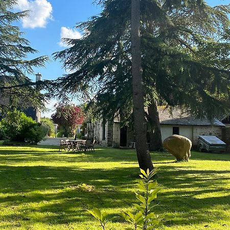 Maison De Charme Saint-Saturnin-sur-Loire Extérieur photo